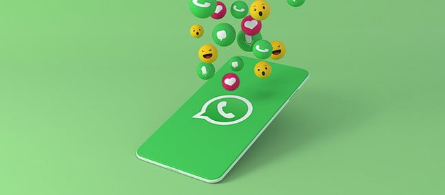 Grupo WhatsApp divulgação