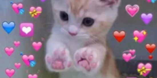Link de Grupo Figurinhas Fofas