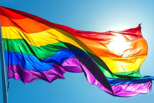 Gay WhatsApp Group Usa