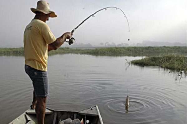 Grupo WhatsApp de Pescadores e Pesca Esportiva