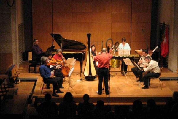 Grupo de WhatsApp de Música Contemporânea, Músicas e Gênero