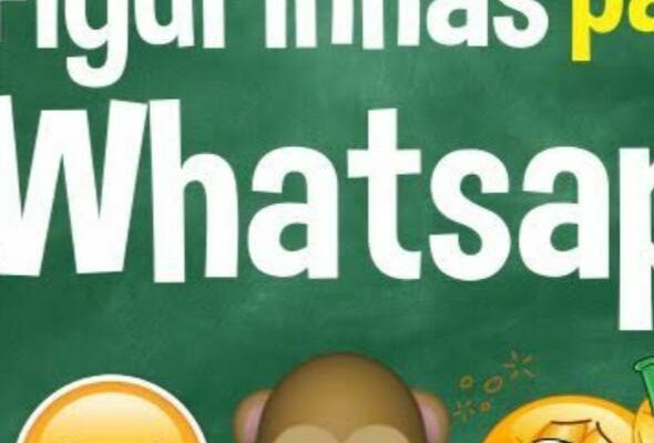 Grupo de WhatsApp Figurinhas Aleatórias