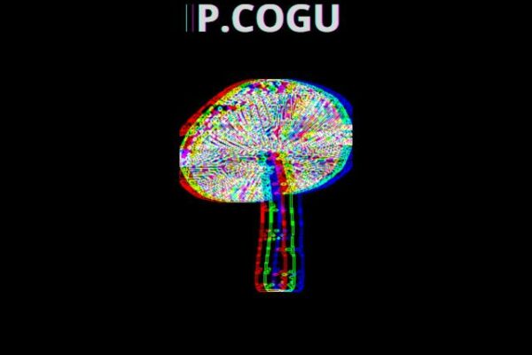Grupo de WhatsApp COGUMELO MÁGICO 🍄