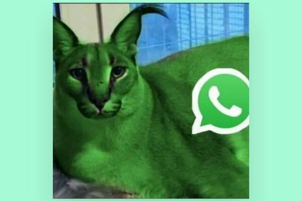 Grupo de WhatsApp wadesape