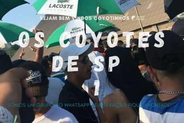 Grupo de WhatsApp OS COYOTES DE SP 🏄🏽♀☯️