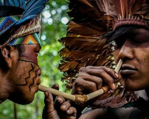 Grupo de WhatsApp Ayahuasca.Campinas2023❤️🙏🏻💃🏻