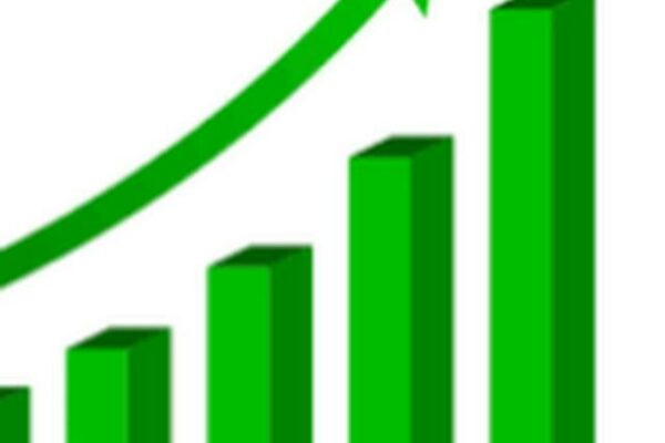 Grupo de WhatsApp Value investing channel