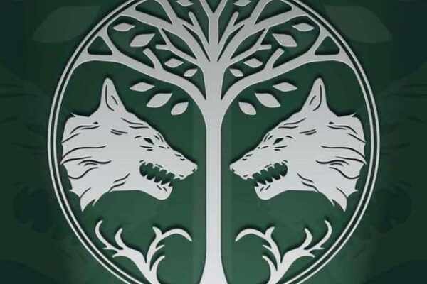Grupo de WhatsApp TeamWolf – Destiny PS3