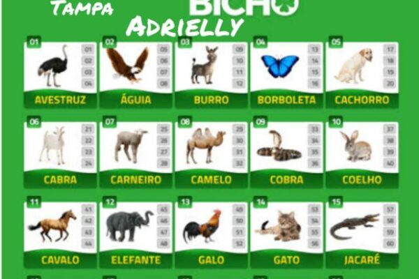 Grupo de WhatsApp ☘️Bicho na tampa🐷🦋🐴