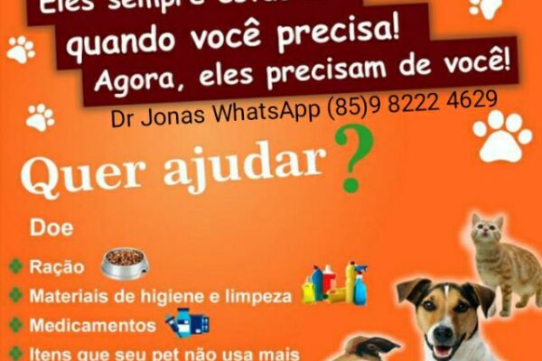 Grupo de WhatsApp SOS Amigos Pets ❤🩹