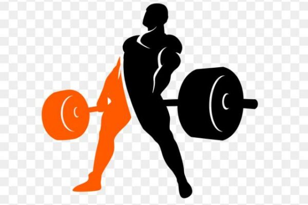 Grupo de WhatsApp Personal Trainer🏋🏾♂️
