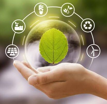 Grupo de WhatsApp REDE AMBIENTAL 01
