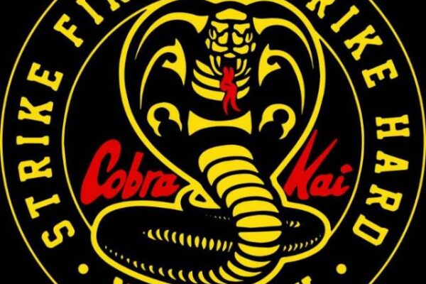 Grupo de WhatsApp Artes marciais