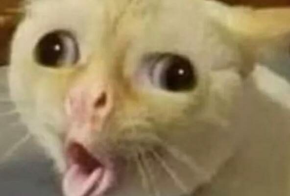 Grupo de WhatsApp ๐ป๐ฏ๐ฌ ๐๐ผ๐ฌ๐ฐ๐น๐จ ๐ถ๐ญ๐ช