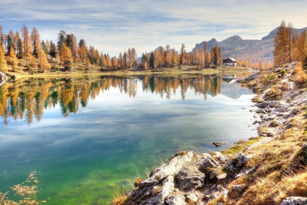 Grupo de Vendas WhatsApp Lago Verde