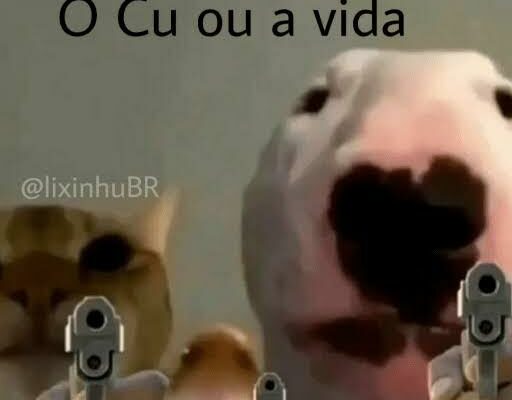 Grupo de WhatsApp XISHIPOSTI RAIS do Levy🔱