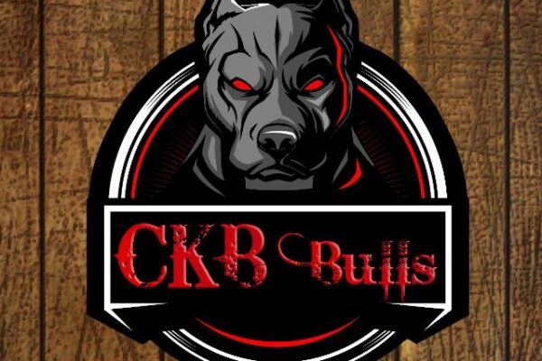 Grupo de WhatsApp Canil CKB Bulls