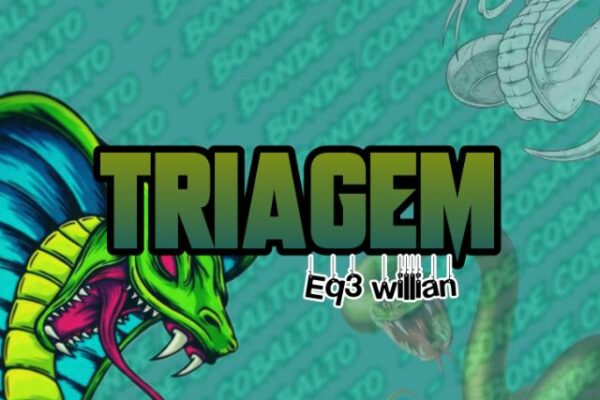 Grupo de WhatsApp ♚CB’ร♚¹>TRIAGEM EQ³