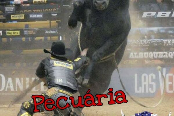 Grupo de WhatsApp Pecuária MG 🇧🇷🔥
