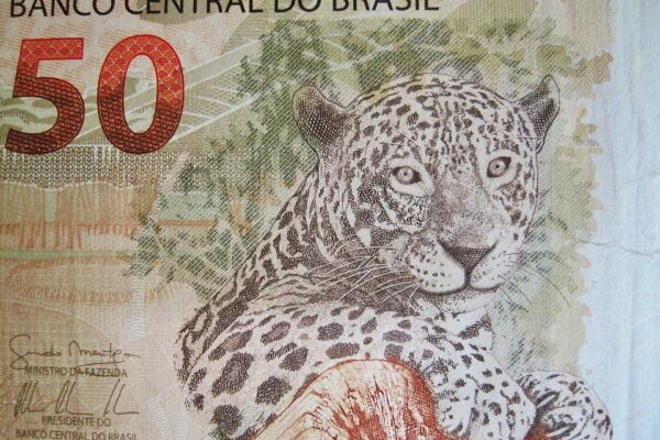 brasil